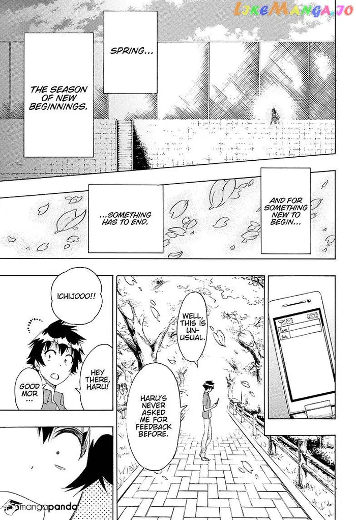 Nisekoi Chapter 203 image 13_optimized